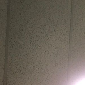 Meet your Posher, Moises